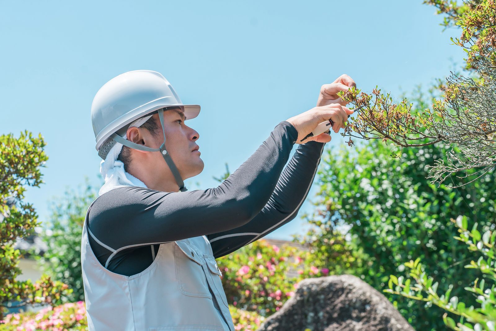 植木のびぜん屋 庭の手入れ