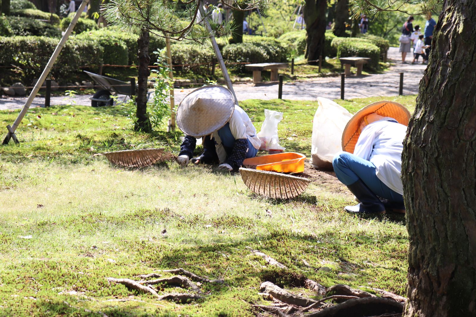 お庭の改修工事